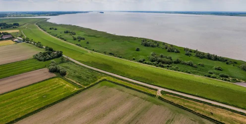 Blick über die Elbe bei Wewelsfleth an einem sonnigen Tag. Im Vordergrund liegt ein grasbewachsener Deich, dahinter der breite Fluss. Am gegenüberliegenden Ufer stehen vereinzelte Bäume und Häuser, rechts ist ein Windrad sichtbar. Der Himmel ist fast wolkenlos und spiegelt sich teilweise im Wasser.