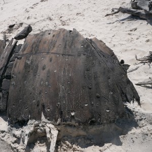 Ein großes, halbrundes Fragment aus dunklem, verwittertem Holz – vermutlich Teil eines Schiffswracks – liegt eingebettet in feinkörnigem, hellem Dünensand