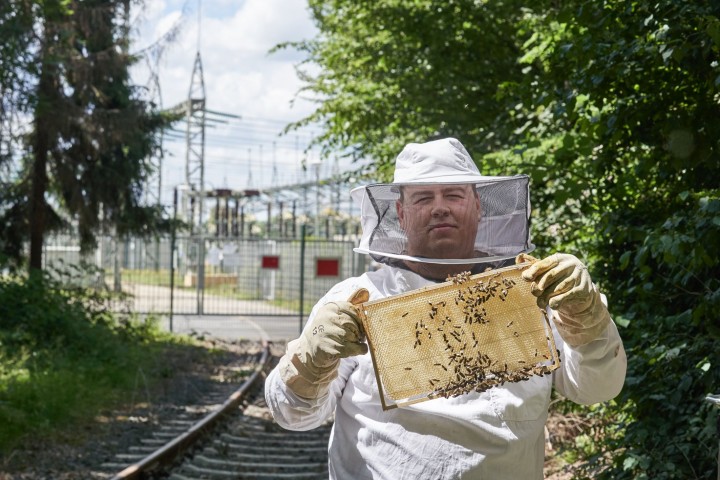 Ein Imker mit Waben vor einer Umspannanlage.