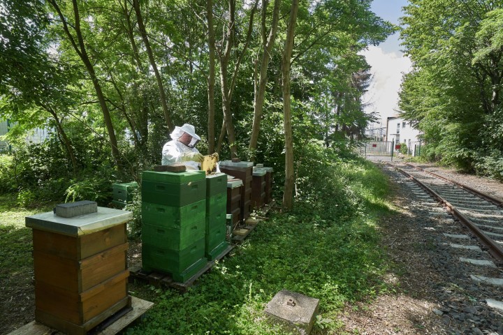 Ein Imker an den Bienenstöcken vor einer Umspannanlage.