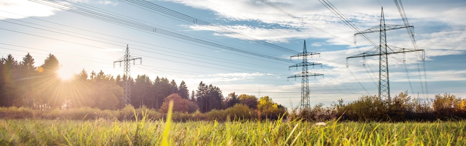 Das freundliche Bild im Querformat zeigt Masten und Freileitungen, welche vor einem Waldsaum von der rechten Seite des Bildes nach links laufen. Im unteren Drittel ein eine Rasenfläche zu erkennen, welche von einer Wildhecke begrenzt wird. Darüber ist fast blauer Himmel mit Cirruswolken zu erkennen.