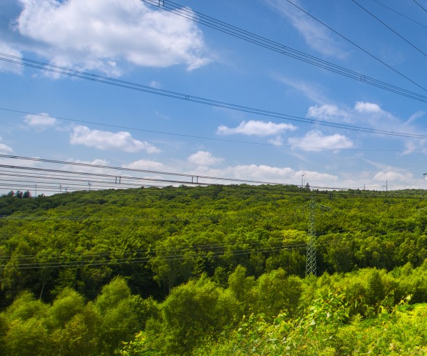 Das Bild im Querformat zeigt eine Trasse an einem leicht bewaldeten Hügel.