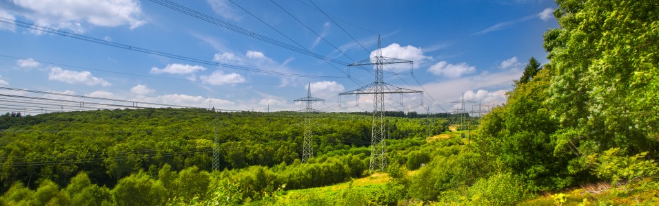 Das Bild im Querformat zeigt eine Trasse an einem leicht bewaldeten Hügel.