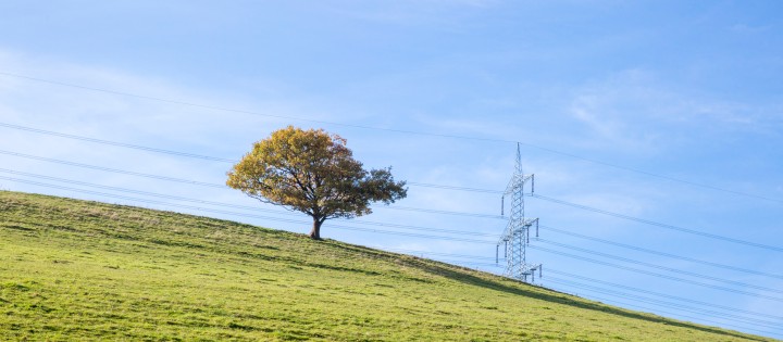 Beginn der Bildbeschreibung:
Auf dem Bild im Querformat ist ein von links oben nach rechts unten abfallender grasgrüner Hügel mit einem einzelnen Kugelbaum zu erkennen. Im Hinergrund verläuft eine Stromtrasse.
Ender der Bildbeschreibung