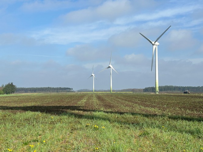 Landschaftsbild: Eine Feldfläche mit Gras im Vordergrund, der Blick fällt auf drei entfernte Windkraftanlagen, die sich vor blauem Himmel erheben.
