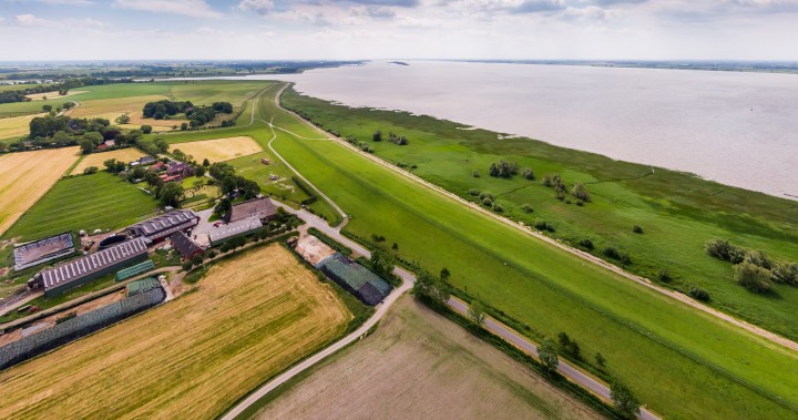 Landschaft an der Elbe