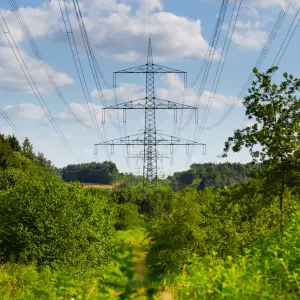 Hochspannungsmast inmitten einer grünen Landschaft mit Bäumen, unter blauem Himmel mit vereinzelten Wolken.