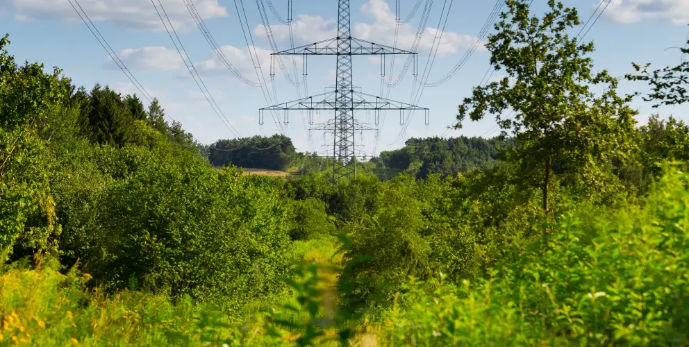 Hochspannungsmast inmitten einer grünen Landschaft mit Bäumen, unter blauem Himmel mit vereinzelten Wolken.
